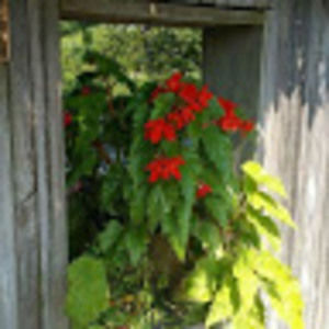 Meet your Posher, Samer